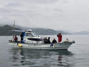 茂木で遊漁船主催の釣り大会　地域活性化つなげたい